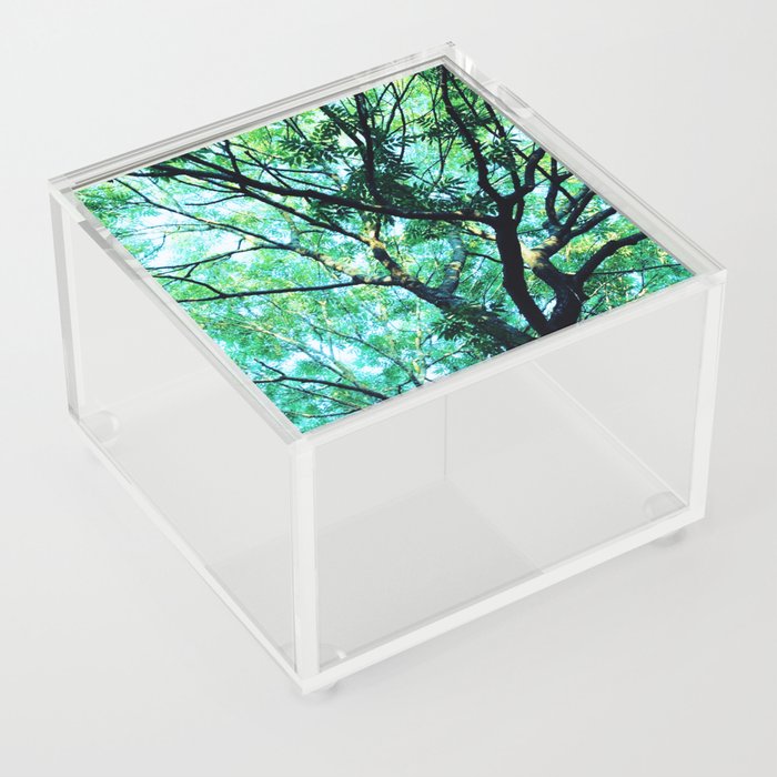 Light Acrylic Box