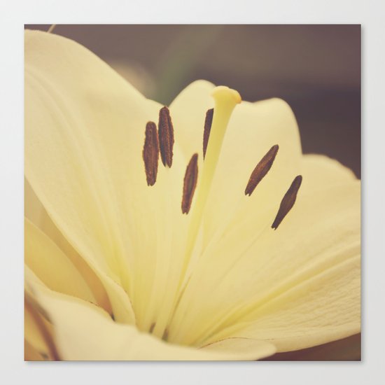 Dreamy Lily Canvas Print