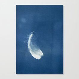 Light as a Feather Canvas Print