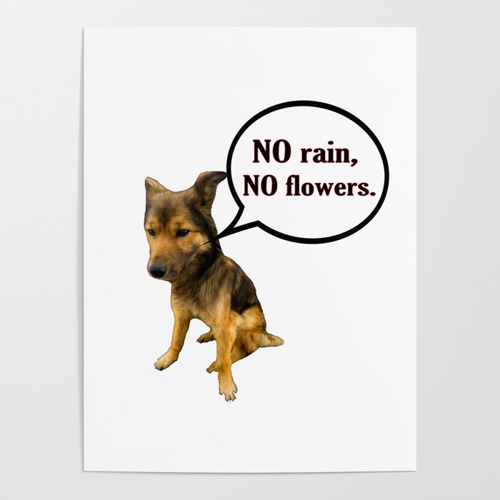 No Rain No Flowers Funny Dog Memes Poster By Be Your Own Motivation Society6