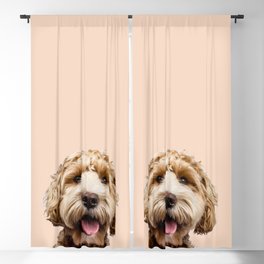 Happy Goldendoodle on Pastel Pink Background Blackout Curtain