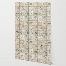 The Voynich Manuscript Quire 1 - Natural Wallpaper