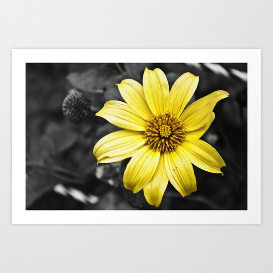 Color my Garden Yellow Art Print