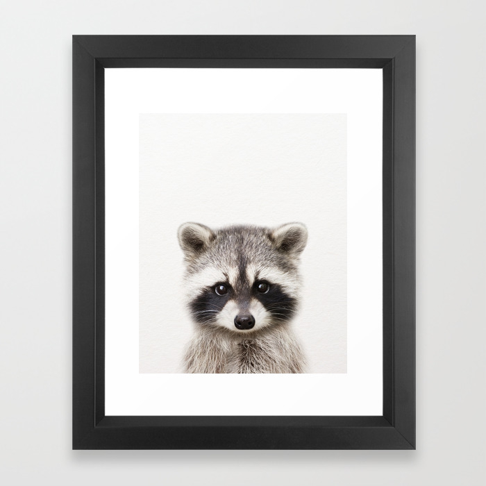 Baby Raccoon Baby Animals Art Print By Synplus Framed Art Print By Synplus Society6