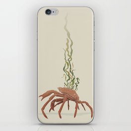 Seaweed Graphics Spider Crab iPhone Skin