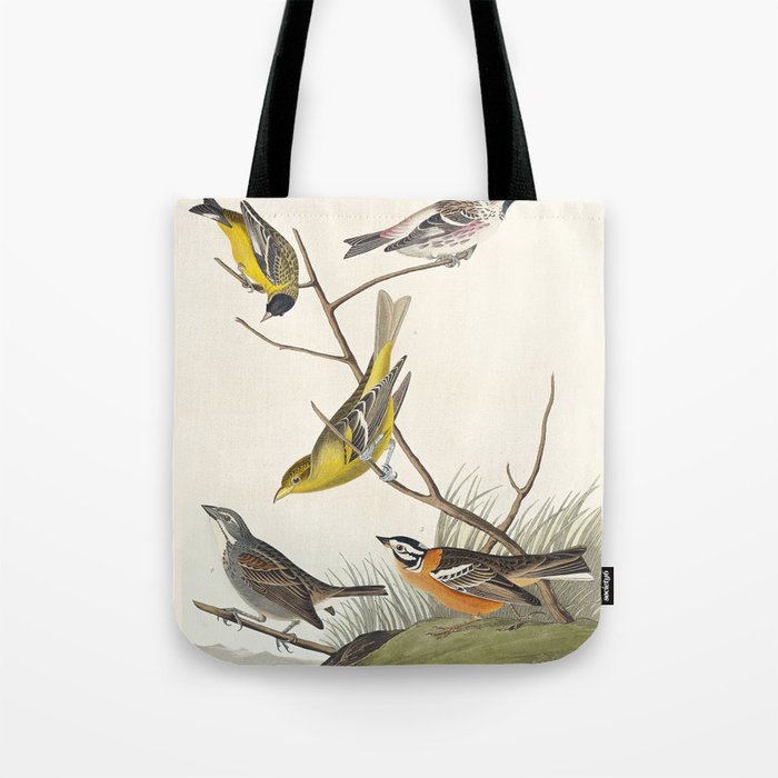 Birds of America (1827) by John James Audubon Tote Bag