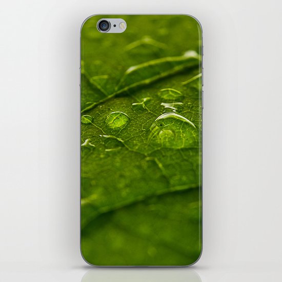 Green Bubbles 2 iPhone & iPod Skin