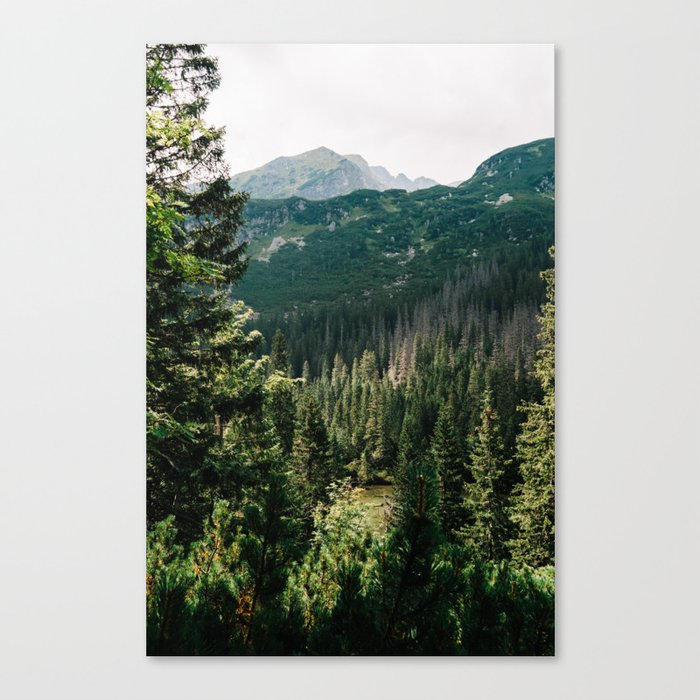 Tatra Mountains III, Slovakia, Landscape Photography, Art Print Canvas Print