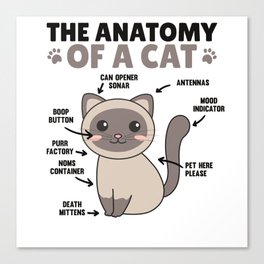 The Anatomy Of A Cat Funny Explanation Of A Cat Canvas Print