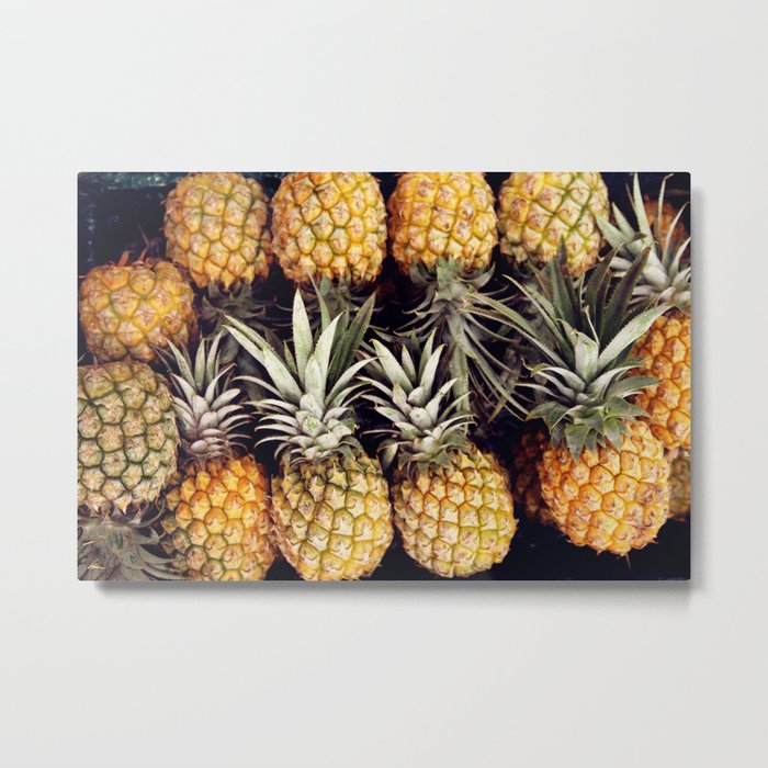 Pineapples, Maui.  Metal Print