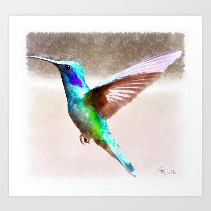 Hummingbird Watercolor Painting Art Print By Timelesswindow Society6