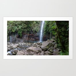 Waterfall in Cove with Colorful Rocks and Abundancy of Ferns | Madeira Art Print