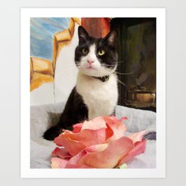 Orazio the charming cat Art Print | Cat, Feline, Expressive, Magicalcat, Black, Tuxedo, Charmingcat, Felix, Pet, Flower 