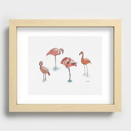 Watercolor and ink flamingo flock sketches Recessed Framed Print