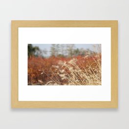 field Framed Art Print