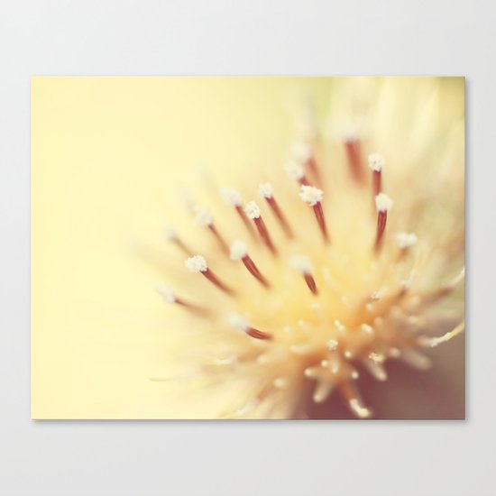 Thistle Go Pop Canvas Print
