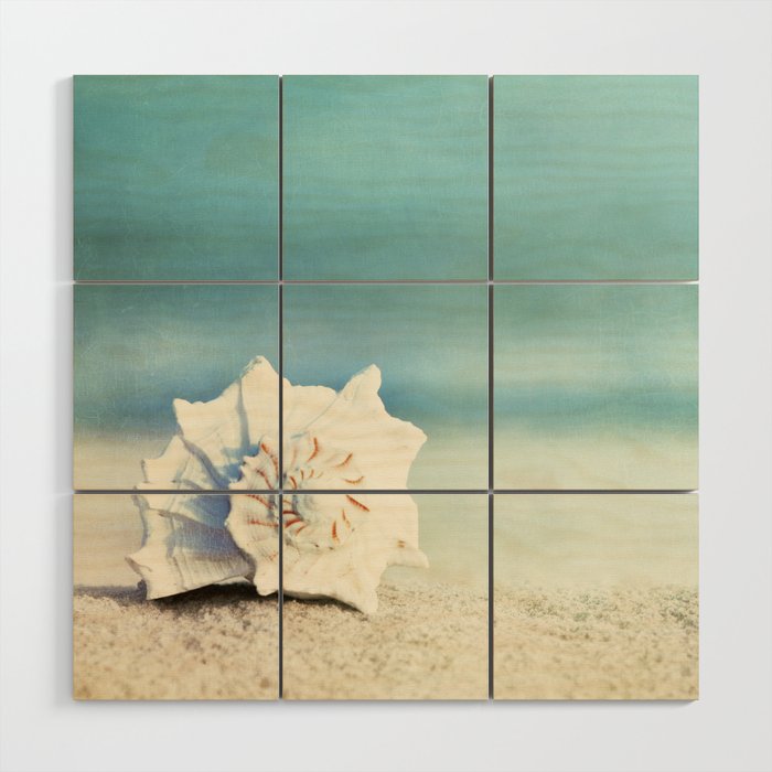 Seashell on Beach Photography, Aqua Blue Shell Coastal Photo, Teal Turquoise Ocean Seashore Wood Wall Art