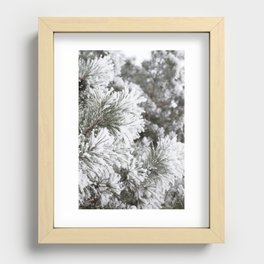 Dressed in Frost Recessed Framed Print