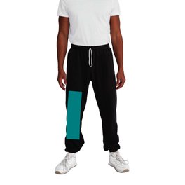 Medium Teal Solid Color Pantone Navigate 17-5025 TCX Shades of Blue-green Hues Sweatpants