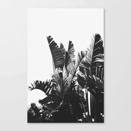 No. 6 Canvas Print