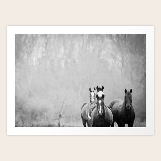 Herd Art Print
