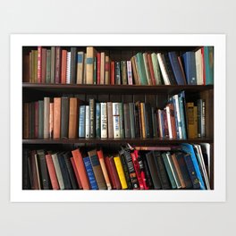 The Bookshelf in the Library Art Print