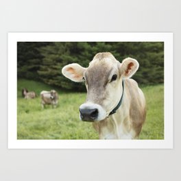 Kitty Wells Art Print | Photo, Cow, Brown, Portrait, Color, Brownswiss, Dairy, Green, Digital, Children 