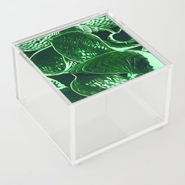 Greenery No2 artistic hostas nature art and home decor Acrylic Box