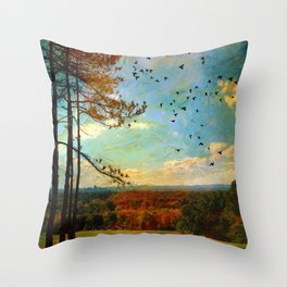 Looking West from Wickham - Hartford from Manchester, Connecticut in Autumn // 2021 - 070 Throw Pillow