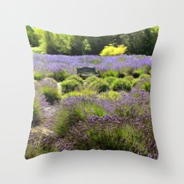Bench in the Middle of Lavender Field Throw Pillow