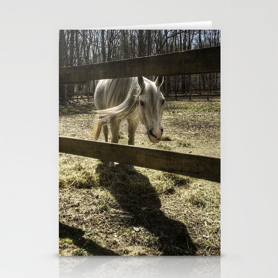 horse. Stationery Cards