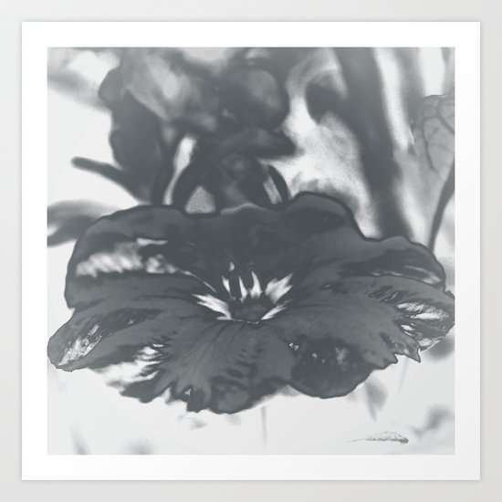Bloom in Platinum Tone Art Print