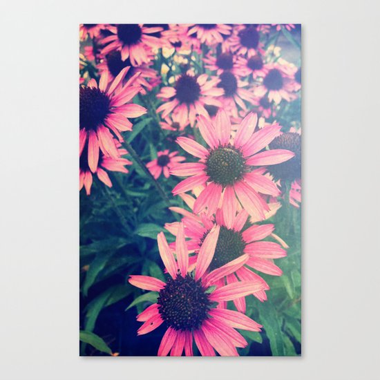 The Color Purple Canvas Print