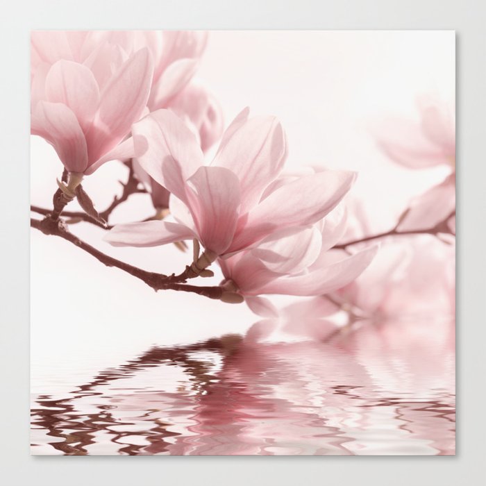Magnolia pink 0201 Canvas Print