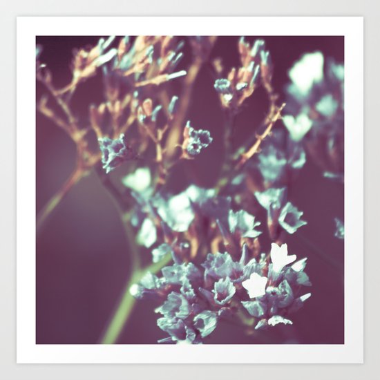 Flowers Art Print