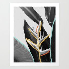 Attention Seeker III - Tropical Bird of Paradise Modern Mixed Media Photography Illustration Art Print