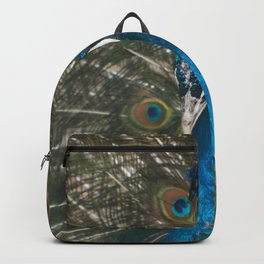 Paon coloré Backpack