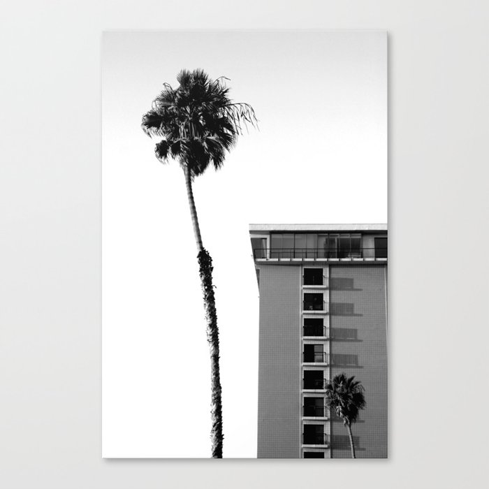 Palm Trees #103 Canvas Print