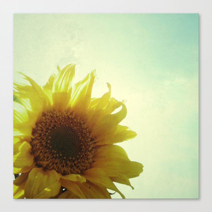 Sunflower Canvas Print by Cassia Beck | Society6