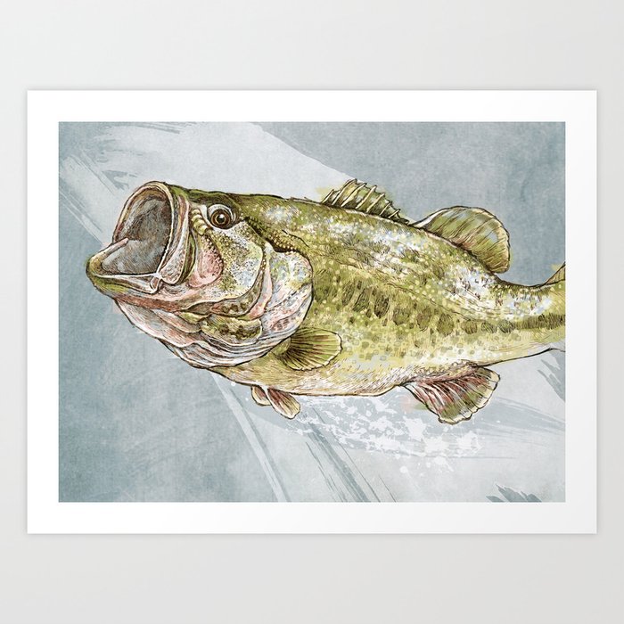 Magnificent Largemouth Bass Art Print by Ashley Verkamp Illustration