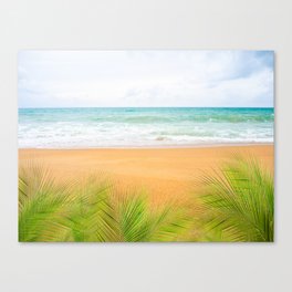 Palm or coconut leaves with Blue sea and blue sky with sand beach at coast. ocean Phuket Island in thailand. tropical nature landscape. for tourist vacation travel summer holidays concept. Canvas Print