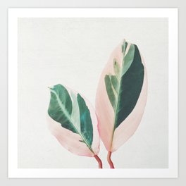 Pink Leaves I Art Print