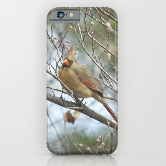 Lady Cardinal iPhone & iPod Case