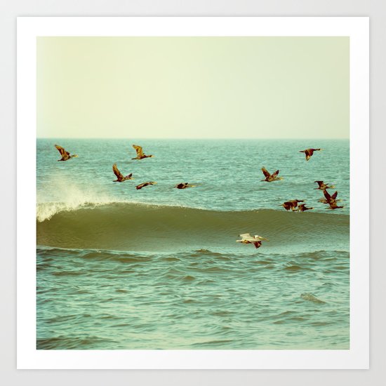 Skimming the Surface Art Print