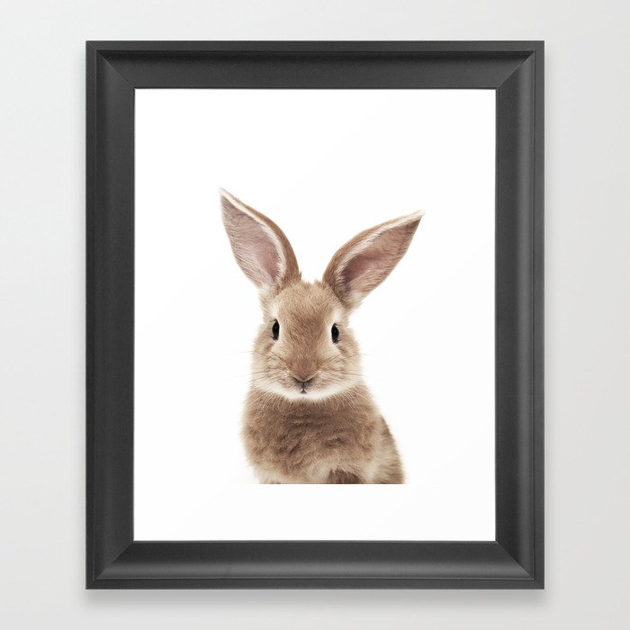 Bunny Framed Art Print