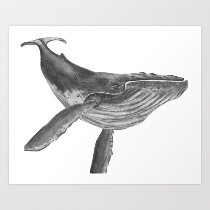 whale Art Print