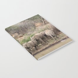 Elephants on the riverbank Notebook
