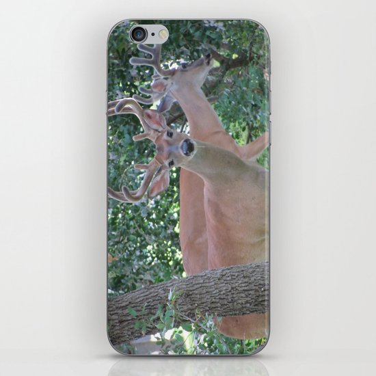 Up Close and Personal iPhone & iPod Skin