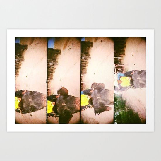 Elephant Art Print