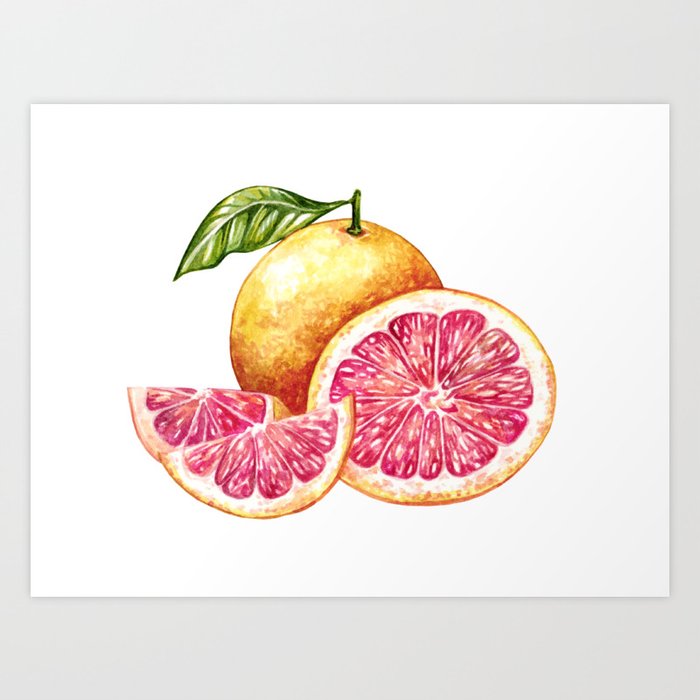 Grapefruit in Watercolor Art Print